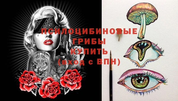дживик Алексин